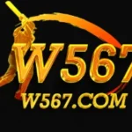 W567 Game